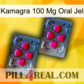 Kamagra 100 Mg Oral Jel 14